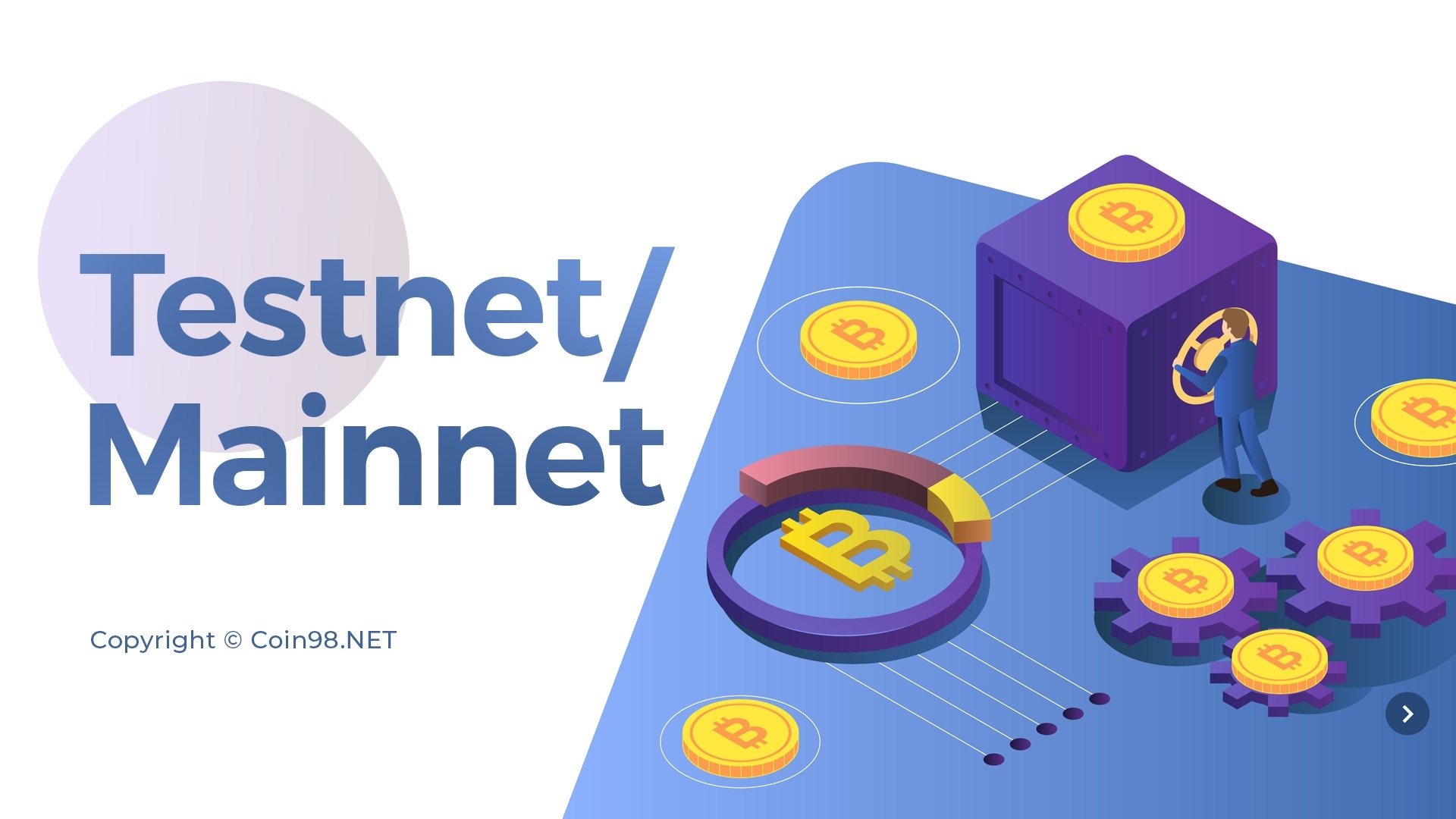 mainnet là gì và testnet là gì