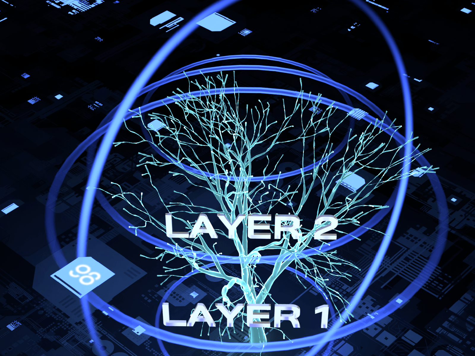 what is layer 2