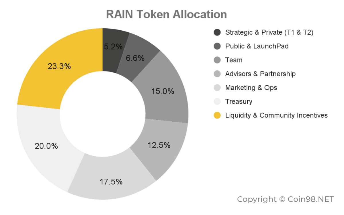 rain token allocation