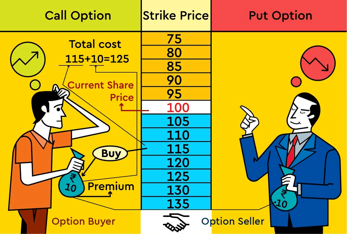 thành phần option contract