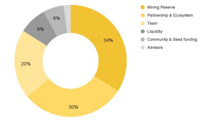 ray token allocation