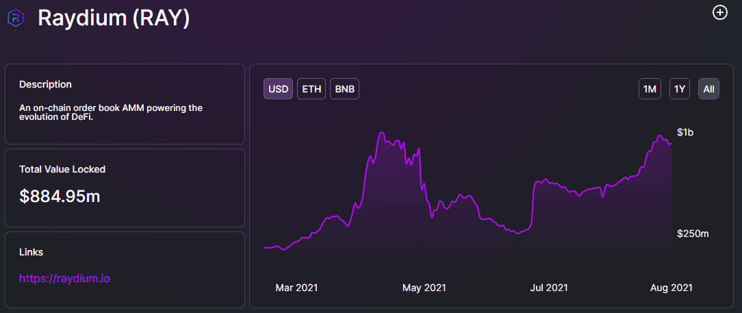 ray coin investment