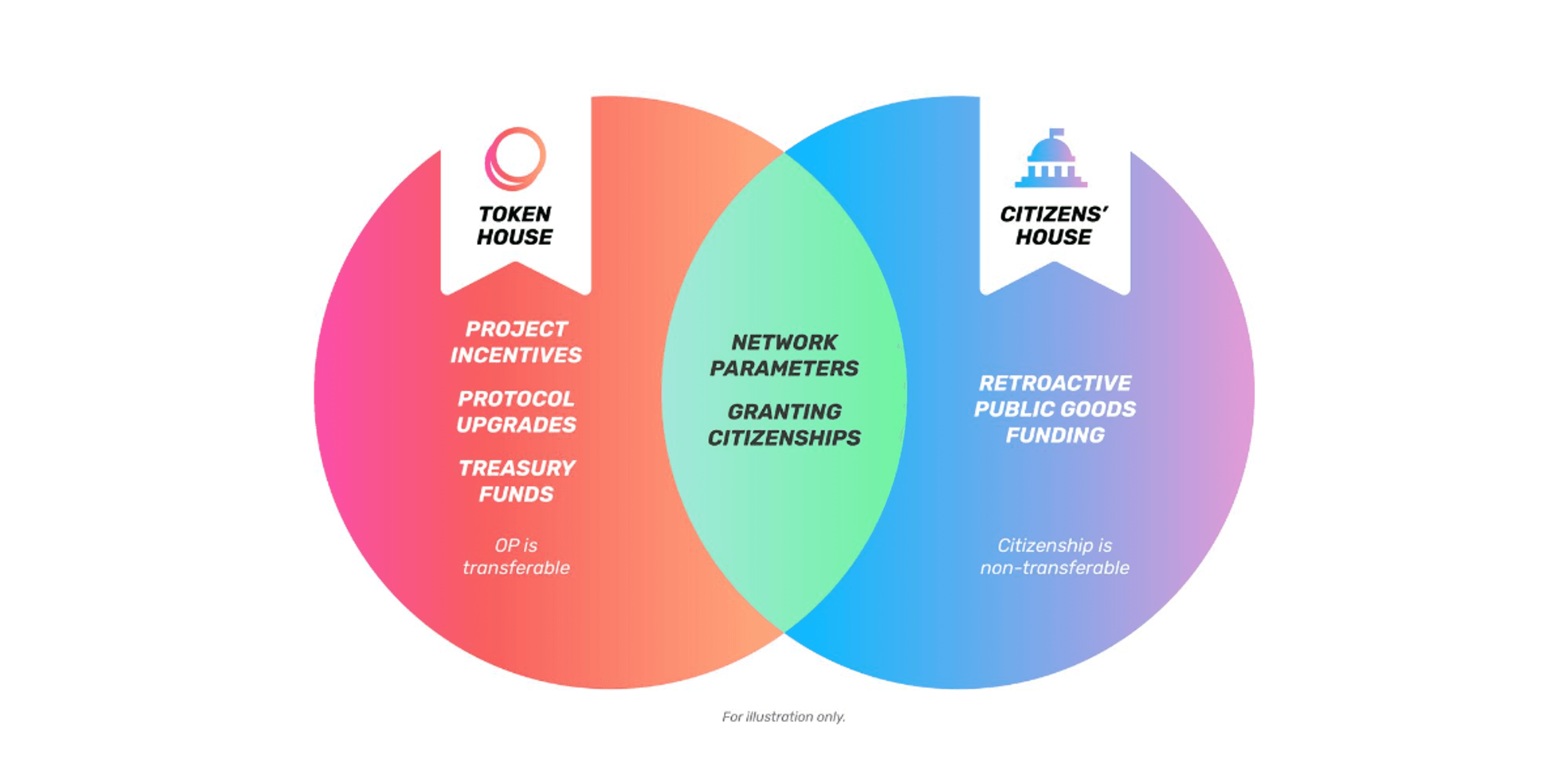 optimism collective house