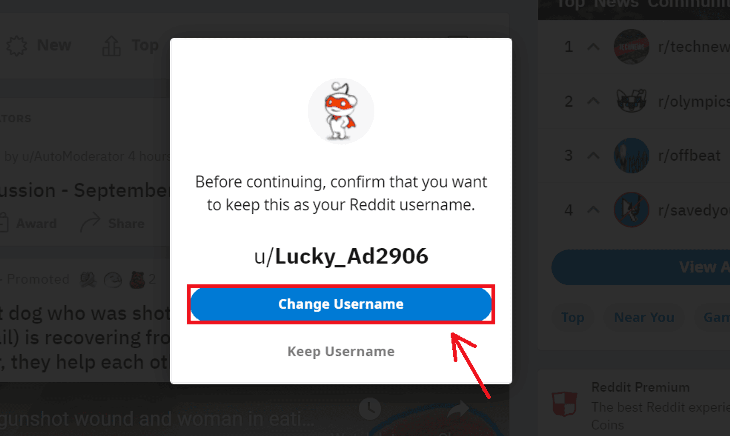 username reddit