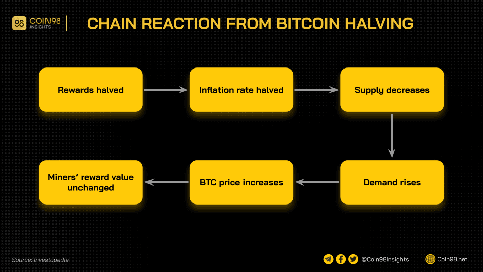 chain from bitcoin halving