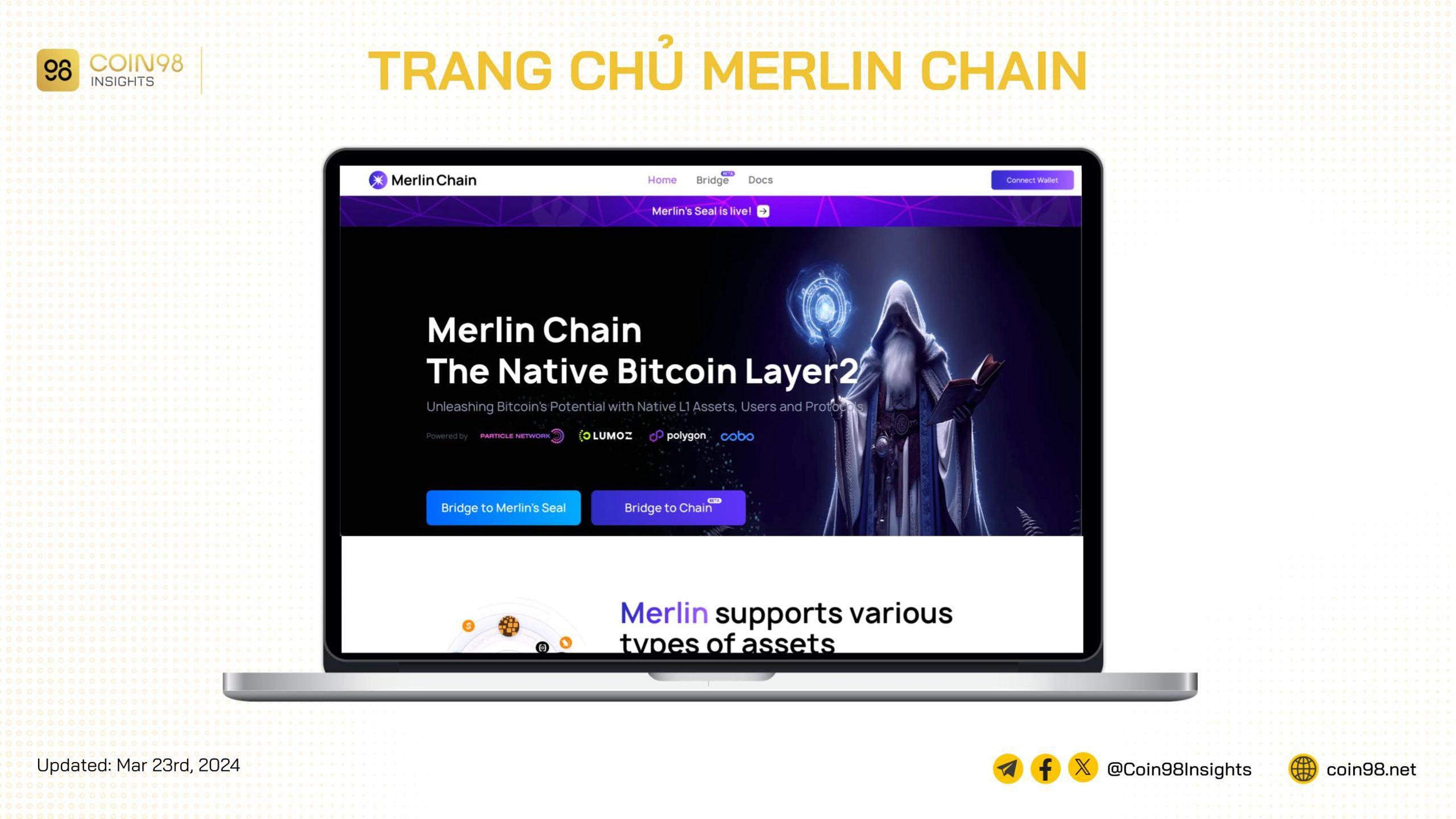 merlin chain