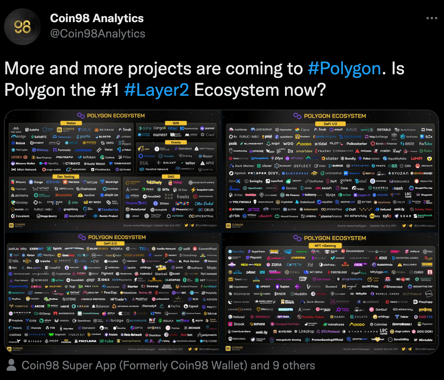 polygon ecosystem