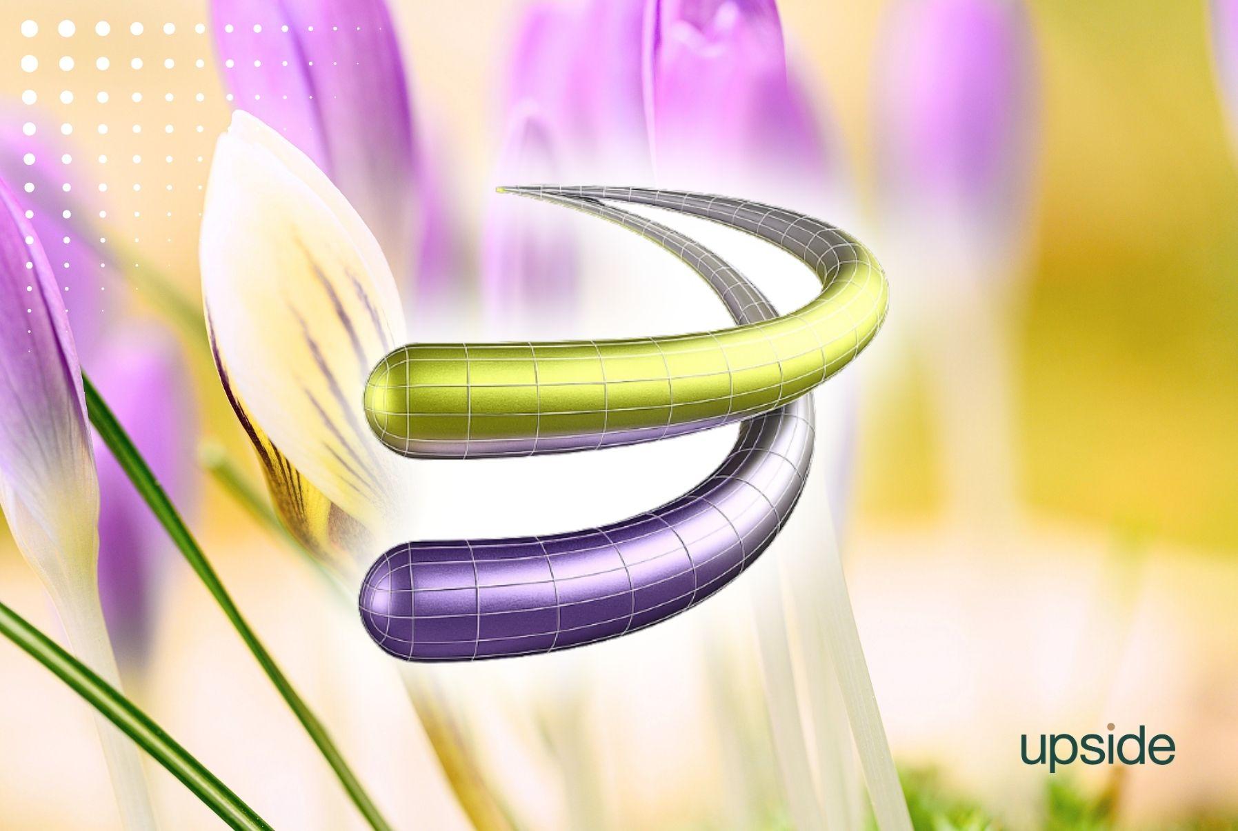 Rayls: Mạng riêng tư được Mastercard đầu tư có gì?